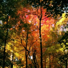 De-Grees - I Believe (Rocco Vs. Bass - T Remix Edit)