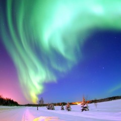 Phillerz & Xtra J - Live Our Fantasy (Predancer Remix)