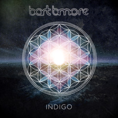 Bart B More - The New World