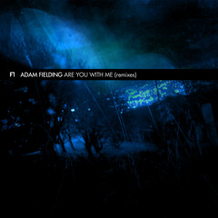 Are You With Me - Remixes