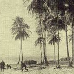 TREASON-"Storm the Beach"  (Original Not Mastered)