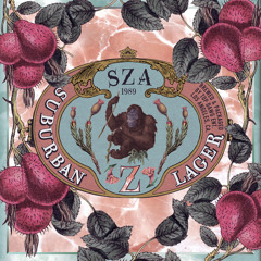 SZA feat. Chance The Rapper "Childs Play"