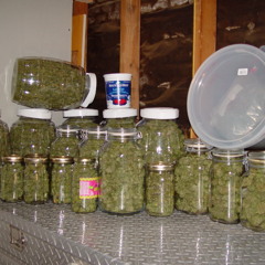 FanGxah In Tha Cookie Jar Jc, Cnote, Jr Fresh