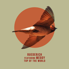 Ruederich feat. Meggy - Top of the World (Marek Hemmann Remix)