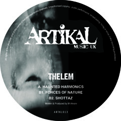 ARTKL013 - THELEM - FORCES OF NATURE (96kps)