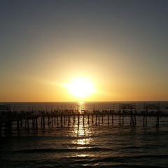 Is it backyard barbeque time yet?