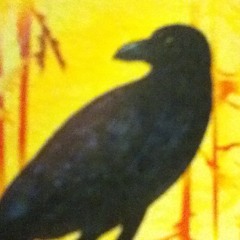 HAMSTER WHEEL- Raven