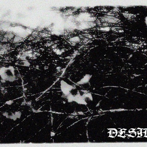 Desidia - 02 Agorafobia - Tumba De Cemento