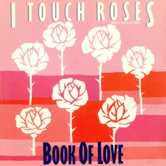 Book Of Love - I Touch Roses (Instrumental Cover)