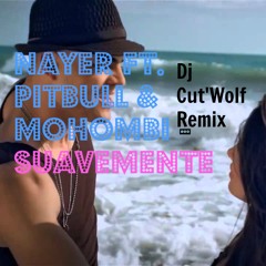 Nayer & Pitbull Feat Mahombi - Suavemente ( Dj CutWolf )MASH'UP