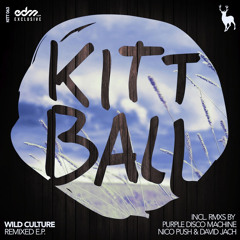 In You by Wild Culture and Juliet Sikora (Purple Disco Machine Remix) - EDM.com Premiere