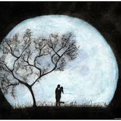 The Moon - Swell Season (cover)