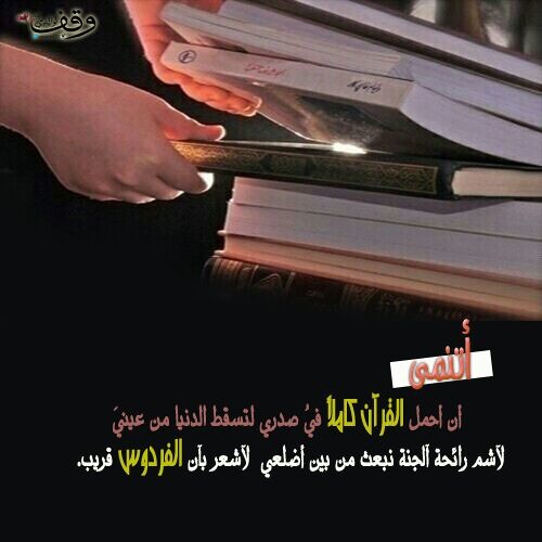 نآصر آلسعيد⎥عشنا سنينًا والكتاب رفيقٌنا...