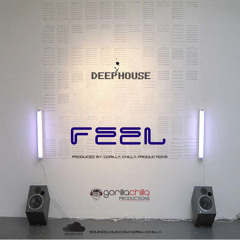 'Feel' Produced by Gorilla Chilla Production