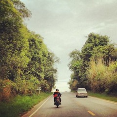 Trees and Lanes