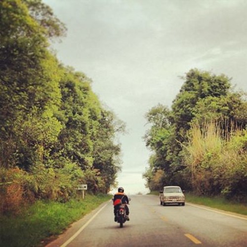 Trees and Lanes