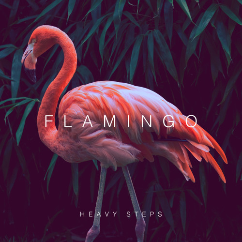 Heart, My - Flamingo
