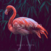 Download Video: Heavy Steps - Flamingo