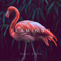 Flamingo Heavy&#x20;Steps Artwork