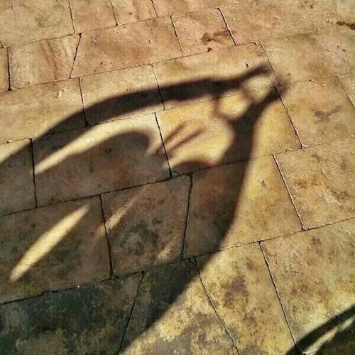 ~قَـدّرَ الـلـّهُ فـَكـانَ الـمُـلتَـقـى~`