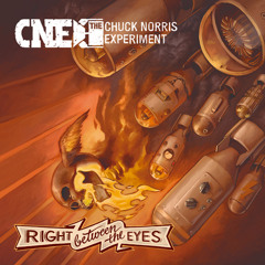 CHUCK NORRIS EXPERIMENT Earth Is Shaking Tonight