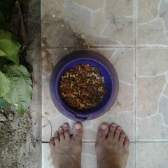 South Forrest at Home