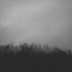 Instrumentals