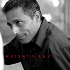 Le Systeme de Ponzi-  Krishna Levy