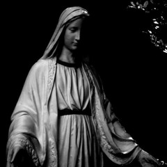 Todo teu :::::: Missionário Shalom