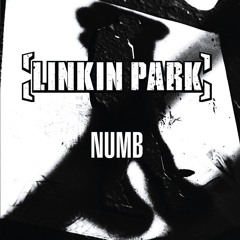 Numb (Linkin ParK) - Inland Spiral acoustic cover