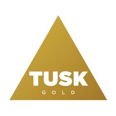 Scott Fraser - Space and Tapes (Last Waltz's Gordon's Daughter remix) (Tusk Gold) Available 2014