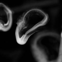 Berlin Community Radio Show