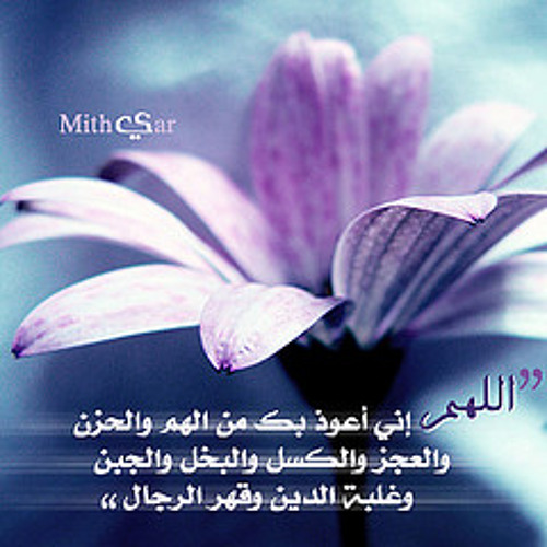 لمن ضاقت به الدنيا وعظم عليه الدين - من روائع مواعظ الشيخ محمد الشنقيطي