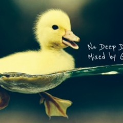 Nu Deep Disco Vol. 3