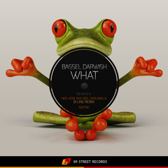 Bassel Darwish - What (Noysik Remix)