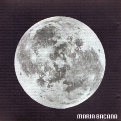 04 Maravilhosamentediário Especialmenteespecial