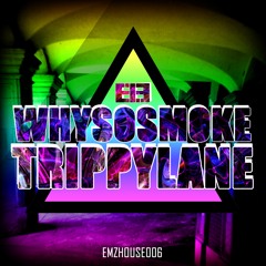 [EMZHOUSE006] WhySoSmoke - Long Day CUT [OUT NOW]