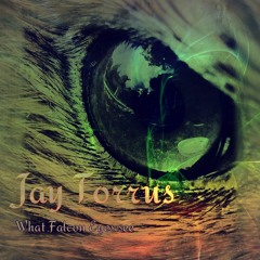 What Falcon Eyes see