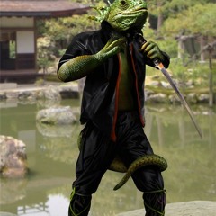 D2 - NINJA LIZARD [VIP]