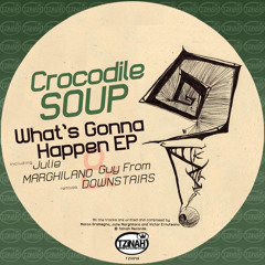 Crocodile Soup - Jazz for Dinner (Julie Marghilano Remix) Preview