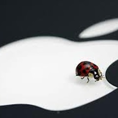 Mac Bug Groove