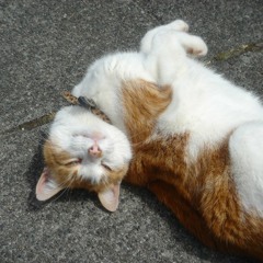 Much Too Happy