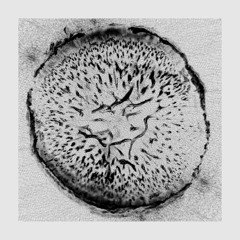 ARB001 - Drøp - Vasundhara EP (incl. Dadub Remix)-  12" Teaser