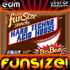 EDM122 - FunSize! - Hard Techno Acid House & Psychedelic Fullon Goa Trance - ALBUM PREVIEW TRACK