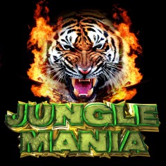 Jumping Jack Frost and Stevie Hyper D @ Jungle Mania-Pt1