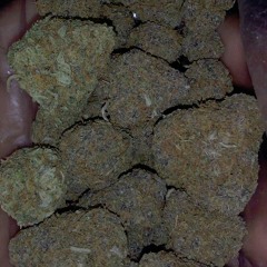 nuestra vida ft Ashley lopez at Minnesota,  twin cities