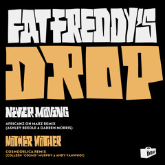 Never Moving/Mother Mother Remix
