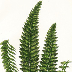 Puzzle Peace (Prod. The Other Guy)