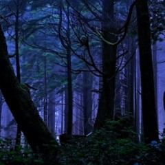 Tropical Terror (Insturmental Guitar)