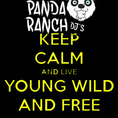 Young, Wild & Bonkers (Panda Ranch MashUp)- Snoop Dogg And Wiz Khalifa vs Dizzee Rascall
